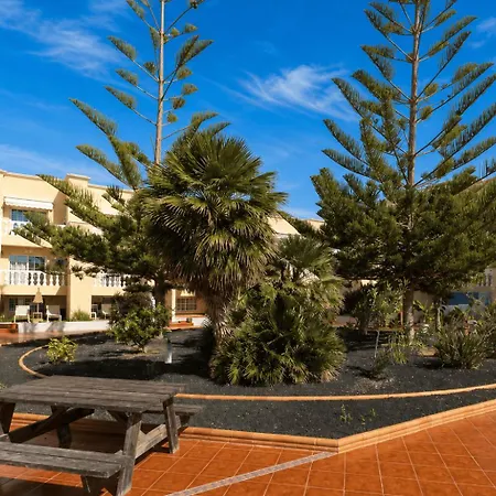 Appartement Caleta *